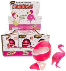 12 flamencos en crecimiento en huevo en exhibición 9241