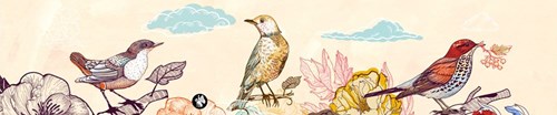 Belle Lurette juguete musical Rondo Birds 02 Mozart Lullaby rosa-2