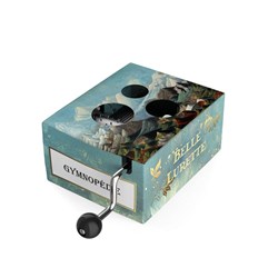 Belle Lurette caja de música de manivela juguete Gymnopédie Satie multicolor