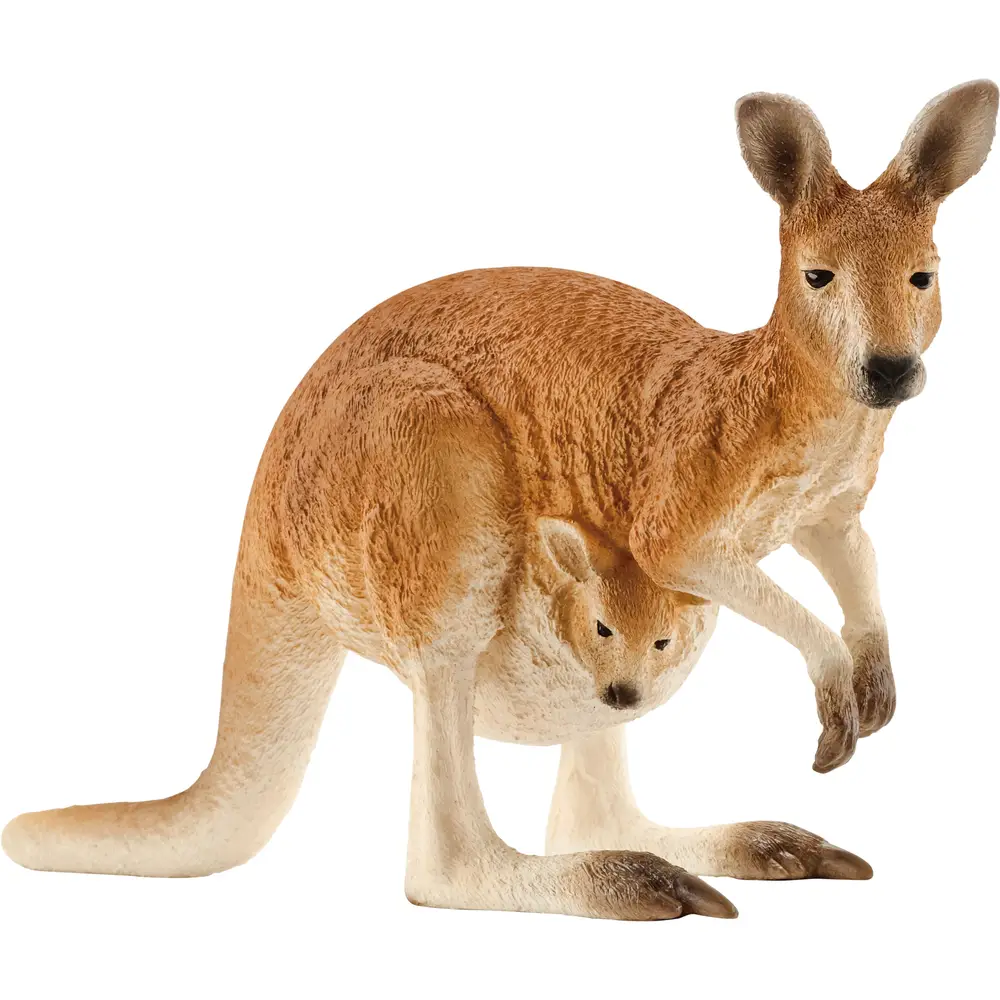 Schleich Safari - Figura de canguro juguete Wild Life 14756