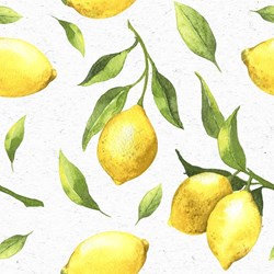 Duni servetten Citrus 3-laags 33x33cm