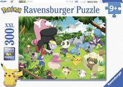 Pokemon Puzzel, 300st.