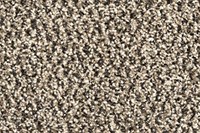 Ingresso Schoonloopmat 60x90cm taupe