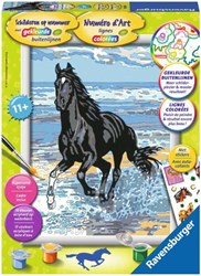Ravensburger pintar por números caballo en las olas - set creativo hobby