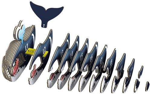 EUGY EUGY 3D - Ballena de Groenlandia-3