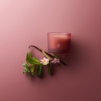 Bolsius vela aromática vaso de cristal con corcho Floral Blessings 66/83 rosa-2