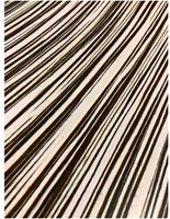Wobbel Original Zebra Cork-3