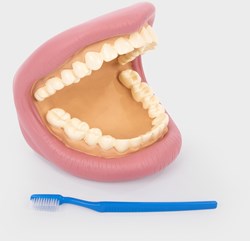 TickiT Giant Teeth Dental Kit modelo dental educativo para niños