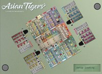 HOT Exclusive juego de mesa Asian Tigers estrategia y juego económico-2
