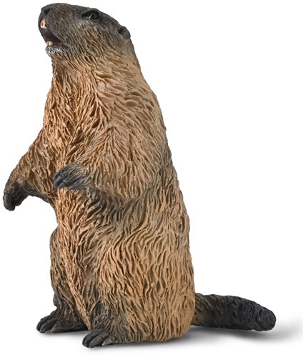 Collecta marmota figura de juego - animal realista pintado a mano