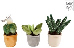 Peluche planta decorativa - Take Me Home - 12-17cm - juguete