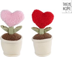 Van Manen peluche planta corazón Take Me Home 17cm decorativa
