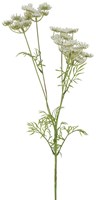 Countryfield flor artificial decoración Anethum blanca 80cm tallo artificial