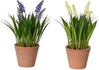 Kunstplant druifjes in pot Ø11xH26cm