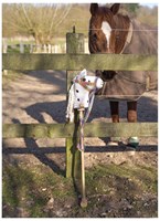 Goki caballo de palo de madera blanco juguete con ruedas y cabestro-3