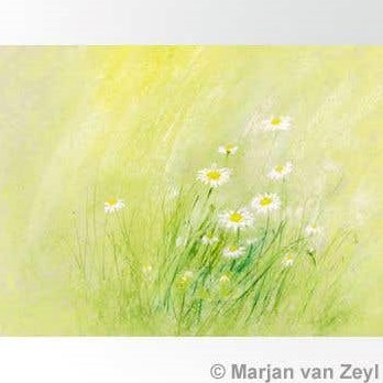 Mercurius tarjeta margaritas ilustración flores tarjeta de felicitación