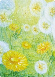 Kapitein Kalk tarjeta obra de arte pizarra set de 5 tarjetas de felicitación