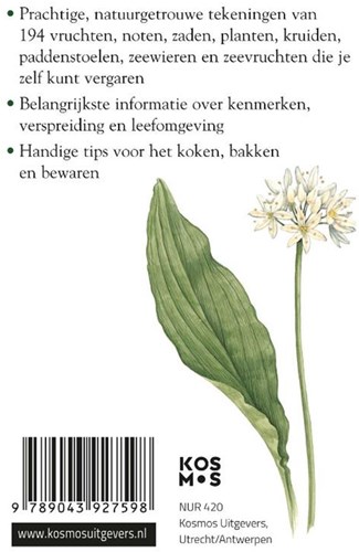 Kosmos guía Plantas silvestres libro de naturaleza compacto plantas comestibles-2