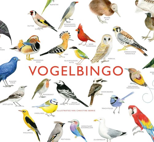 Kosmos juego educativo Bingo de aves - aprende a identificar aves y gana