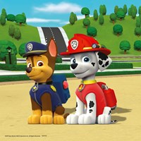 Ravensburger puzzle PAW Patrol - rompecabezas infantil 3x49 piezas - Equipo de 4 Patas-3