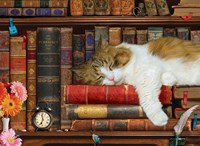 Eurographics puzzle animales gatos - puzzle 500 piezas XL-2