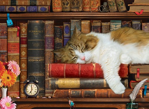 Eurographics puzzle animales gatos - puzzle 500 piezas XL-2