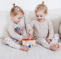 Clasificador de formas Miffy 17063-3