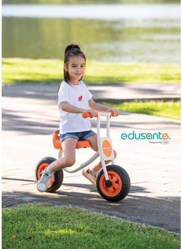 Eduplay bicicleta de equilibrio balance bike multicolor juguete plástico-3