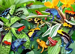 Alipson Puzzle rompecabezas Fun Frogs 500 piezas juguete colorido