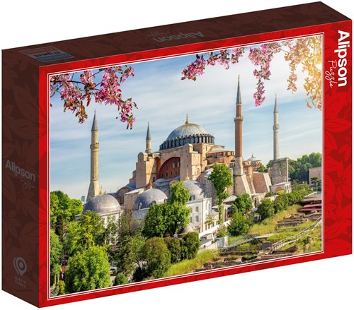 Alipson Puzzle - Rompecabezas Estambul Santa Sofía 1000 piezas-2