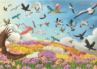 Roovi puzzle Amazing Birds - rompecabezas colorido 1000 piezas aves