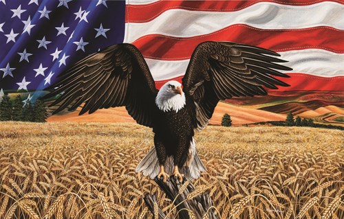 SunsOut puzzle Amber Waves of Grain - rompecabezas de 1000 piezas