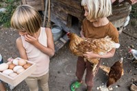 Grapat caja de almacenamiento organizador de juguetes para niños-3