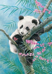 Castorland puzzle Bamboo Dreams - rompecabezas de 500 piezas