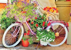 Magnolia Bicycle with Flowers - 1000 Teile