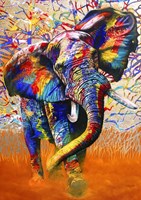 Bluebird Puzzle rompecabezas African Colours - 1000 piezas animales