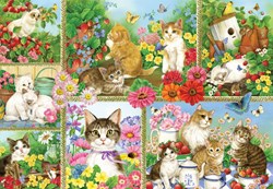 Bluebird Puzzle gatos y gatitos - rompecabezas 1000 piezas