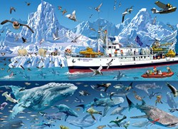 Bluebird Puzzle rompecabezas François Ruyer Arctic Bluebird Boat 1500 piezas