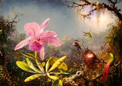Bluebird Puzzle rompecabezas de arte Martin Johnson Heade orquídea colibríes 1000 piezas