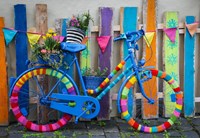 Bluebird Puzzle rompecabezas My Beautiful Colorful Bike - 1000 piezas colorido