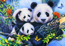 Bluebird Puzzle Panda Family - 104 Teile