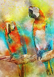 Bluebird Puzzle loros - rompecabezas 1000 piezas juguete colorido