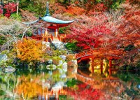 Bluebird Puzzle rompecabezas Temple Daigo-ji Automne Kyoto 500 piezas