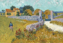 Bluebird Puzzle rompecabezas Vincent Van Gogh granja Provenza 1000 piezas