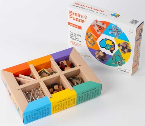 Recent Toys Set de Puzzles Mentales de 6-2