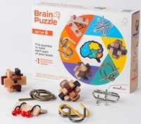 Recent Toys Set de Puzzles Mentales de 6-3