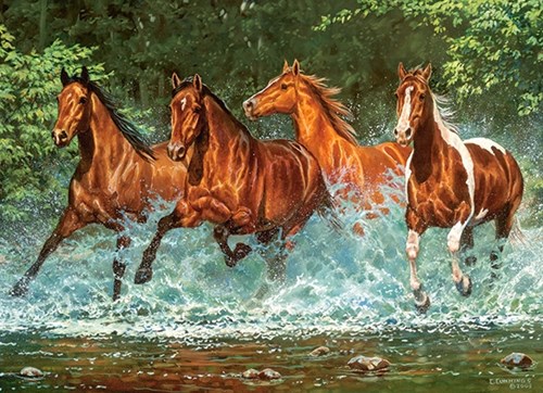 Castorland puzzle Cascade Run - 300 piezas rompecabezas animales