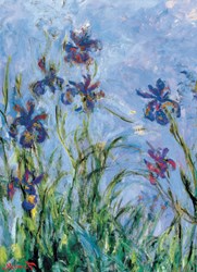 Eurographics puzzle Lirios - Claude Monet - puzzle de arte 1000 piezas