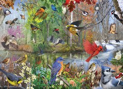Cobble Hill puzzle 1000 piezas - aves rompecabezas paisaje