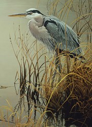 Cobble Hill puzzle - Gran Garza Azul - piezas XXL - 500 piezas